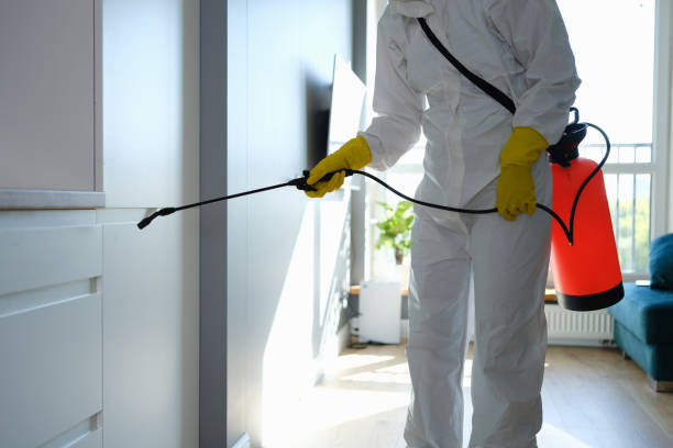 Best Affordable Mold Removal  in Saylorsburg, PA