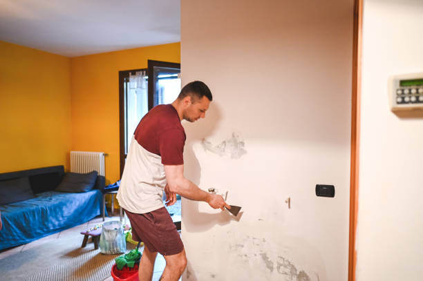 Best Attic Mold Removal  in Saylorsburg, PA